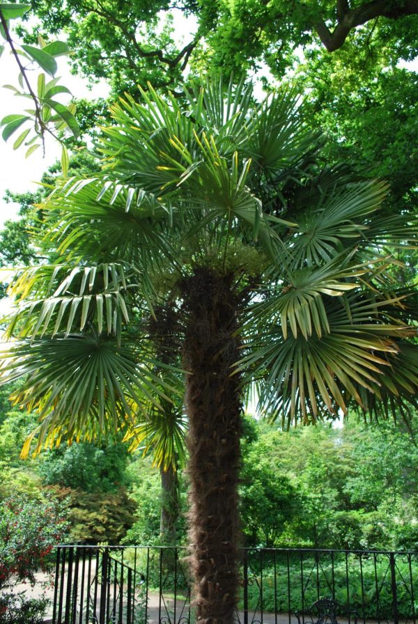 SPECIAL OFFERS Archives Let's Go Planting